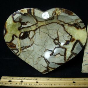 Large Septarian Change Tray (052923n)