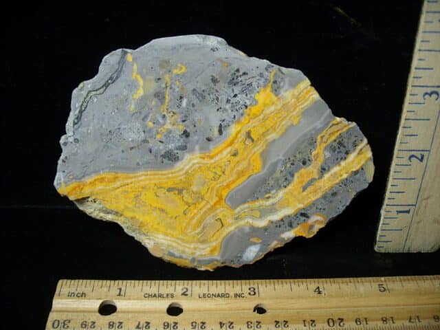 Bumblebee Jasper Slice  (060323a)