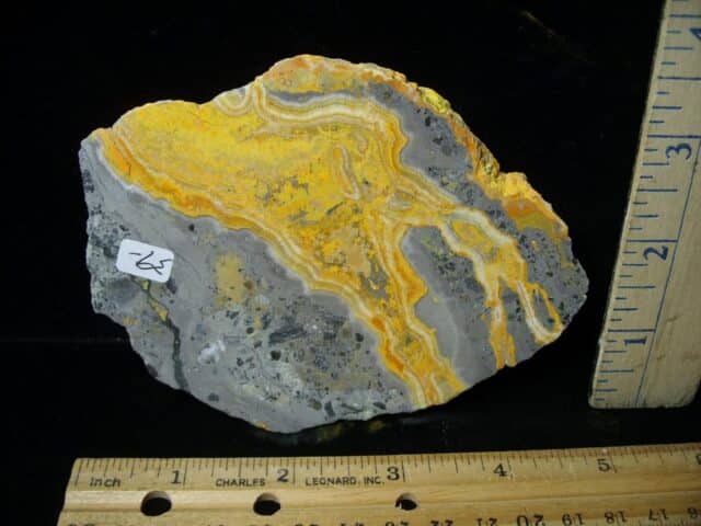 Bumblebee Jasper Slice  (060323a) - Image 2