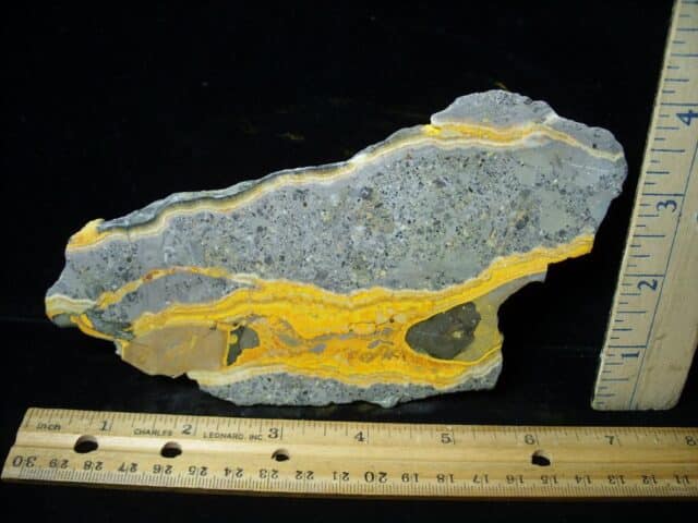 Bumblebee Jasper Slice  (060323e)