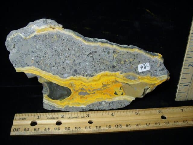 Bumblebee Jasper Slice  (060323e) - Image 2
