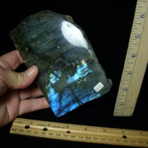 Large Free-form  Labradorite  (060423n)