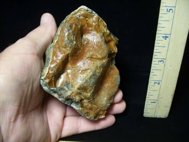 Mastodon americanum  Molar (061623p) - Image 2