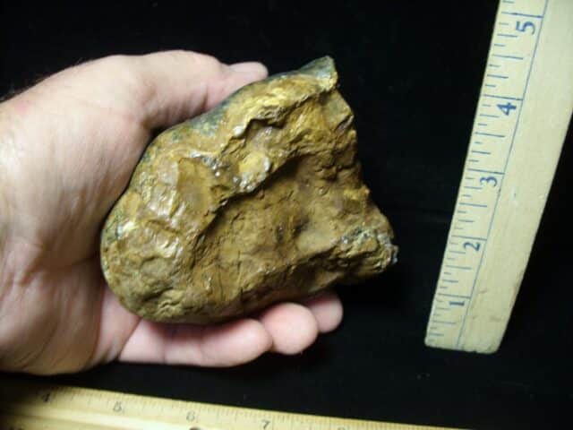Mastodon americanum  Molar (061623r) - Image 3