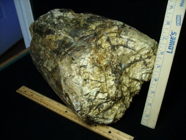 Fossilized Mastodon Tusk "Partial" (062923a) - Image 2