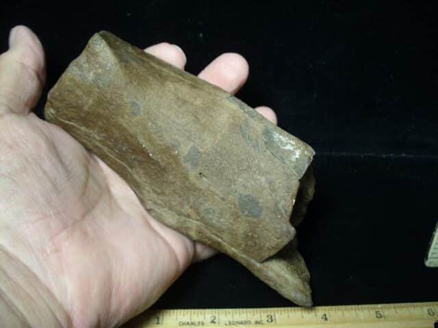 Giant Ground Sloth Bone (072423e) - Image 3