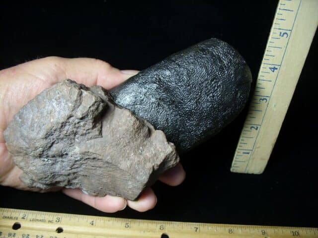 Oviraptor Dinosaur Egg  (091823a) - Image 3
