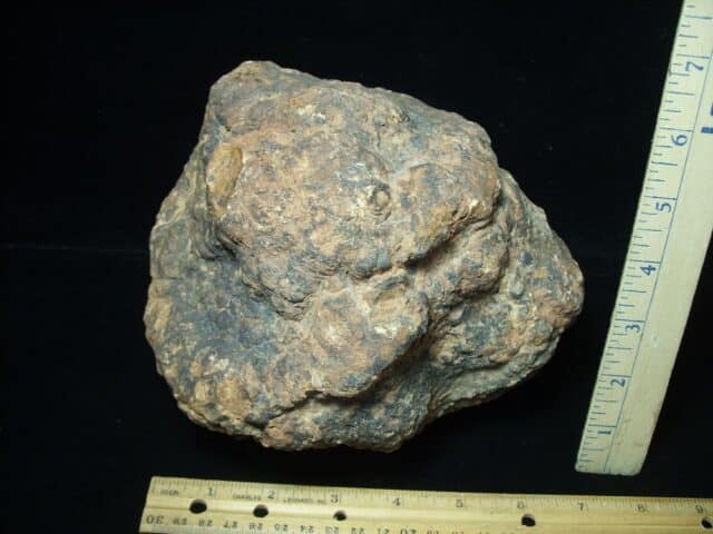 Dinosaur Coprolite  (Poop) (100423d) - Image 3