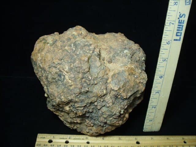 Dinosaur Coprolite  (Poop) (100423d) - Image 2