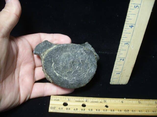 Large Fossilized Whale Vertebra (102023f) - Image 2