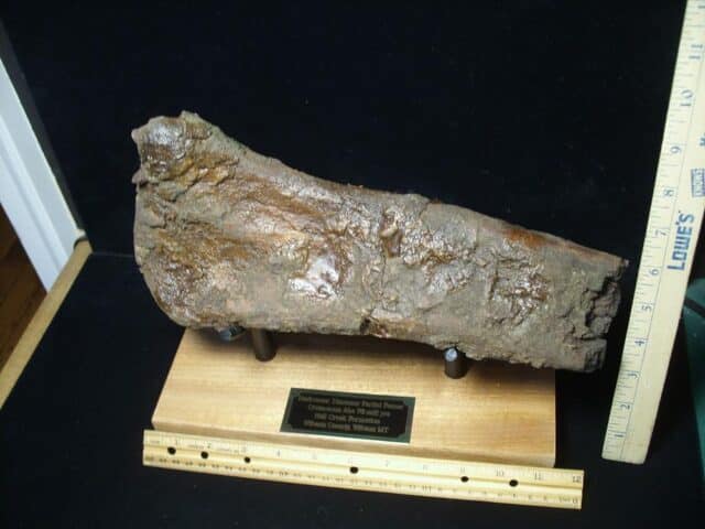 Hadrosaur Dinosaur Partial Femur (102223d)