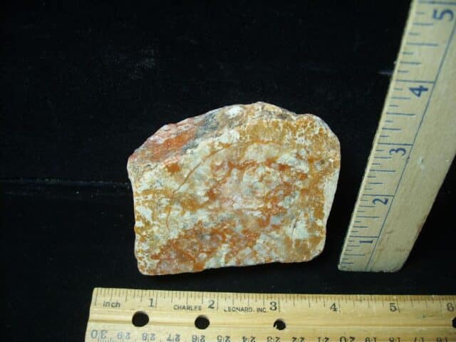 Dinosaur Coprolite  (Poop) (122823w)