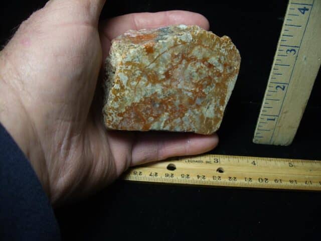 Dinosaur Coprolite  (Poop) (122823w) - Image 2