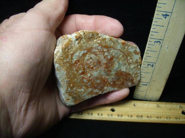 Dinosaur Coprolite  (Poop) (123123a) - Image 2