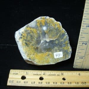 Dinosaur Coprolite  (Poop) (123123b)