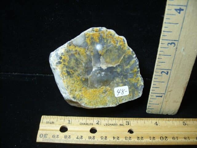Dinosaur Coprolite  (Poop) (123123b)