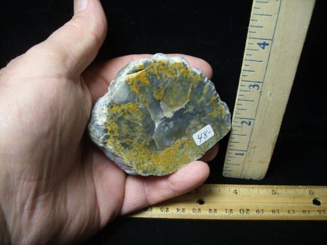 Dinosaur Coprolite  (Poop) (123123b) - Image 2