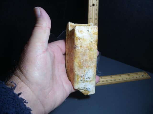 Ground Sloth Eremotherium Tooth (012124j) - Image 4