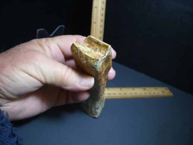 Ground Sloth Eremotherium Tooth (012124k) - Image 5