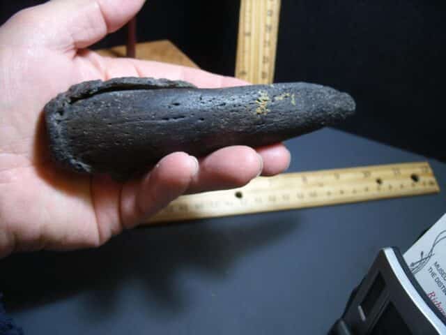 Giant Ground Sloth Hand Hand Claw (012424c) - Image 6