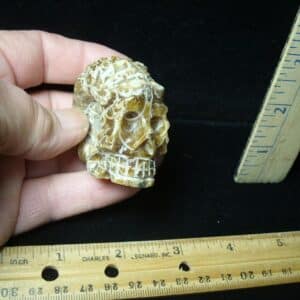 Fossil Ammonite Skull Carving (021424e)