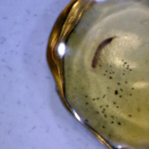 Dominican Amber Specimen with Silk Worm   (030124d)