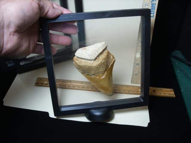 Floating Clear View Display Frames (053524a) - Image 3
