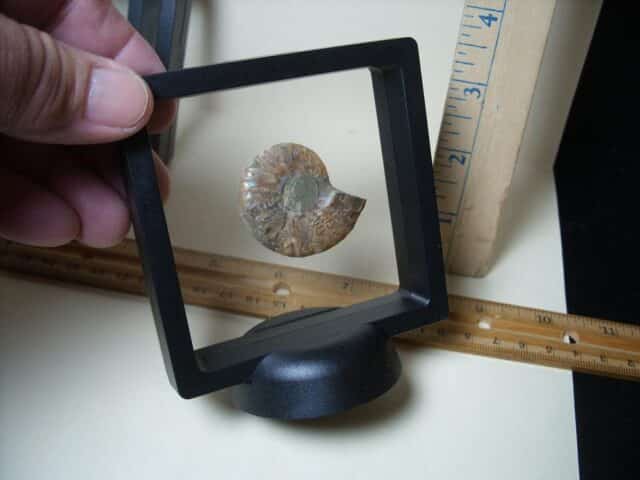 Floating Clear View Display Frames (053724a) - Image 3