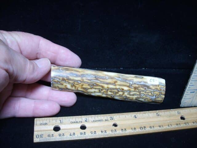 Mammoth Tusk Partial Specimen(072924a)