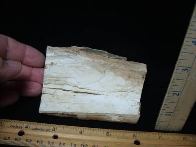 Mammoth Tusk Partial Specimen(072924d) - Image 3