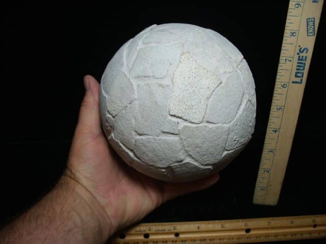 Reconstructed Whole Saltasaurus Dinosaur Egg   (088024a))