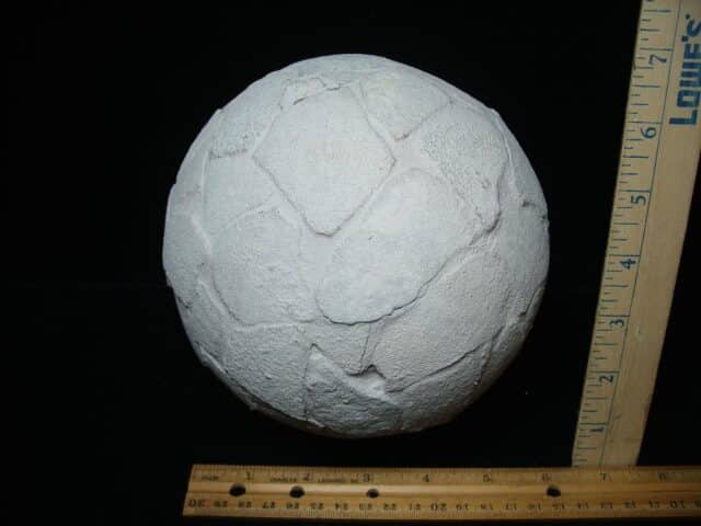 Reconstructed Whole Saltasaurus Dinosaur Egg   (088324c) - Image 6