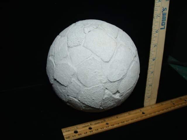 Reconstructed Whole Saltasaurus Dinosaur Egg   (088324c) - Image 4