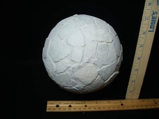 Reconstructed Whole Saltasaurus Dinosaur Egg   (088324c)