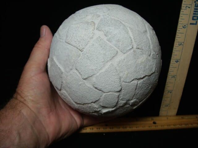 Reconstructed Whole Saltasaurus Dinosaur Egg   (088324c) - Image 3