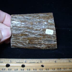 Mammoth Tusk Partial Specimen(021225d))