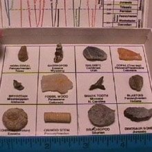 fossil-kits
